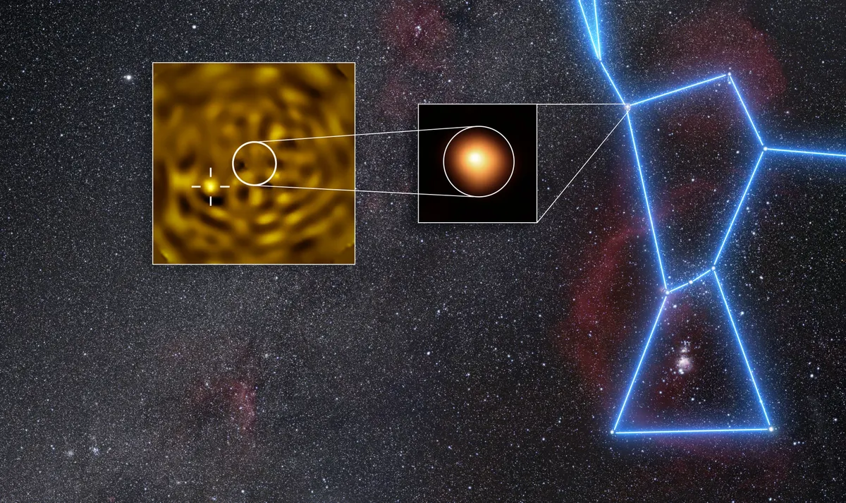 Collage showing a VLT image of Betelgeuse's likely companion next to a cross marker, an orange disk of Betelgeuse, and the glowing blue outline of Orion with a line to the star's position