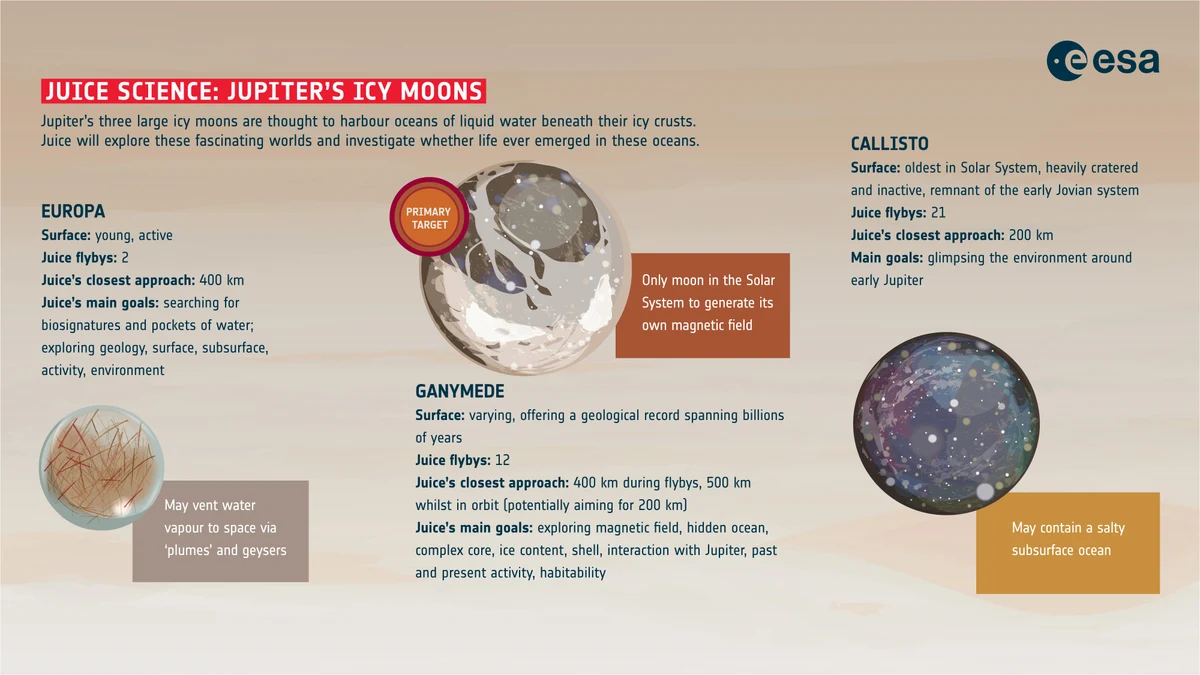ESA infographic on Juice's science at Jupiter's icy moons: Europa with 2 flybys at 400 km, Ganymede marked as primary target with 12 flybys, and Callisto with 21 flybys at 200 km