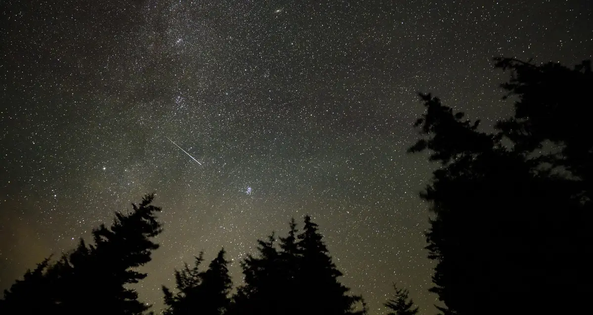 A thin meteor streak in a starry sky over the silhouettes of evergreen trees