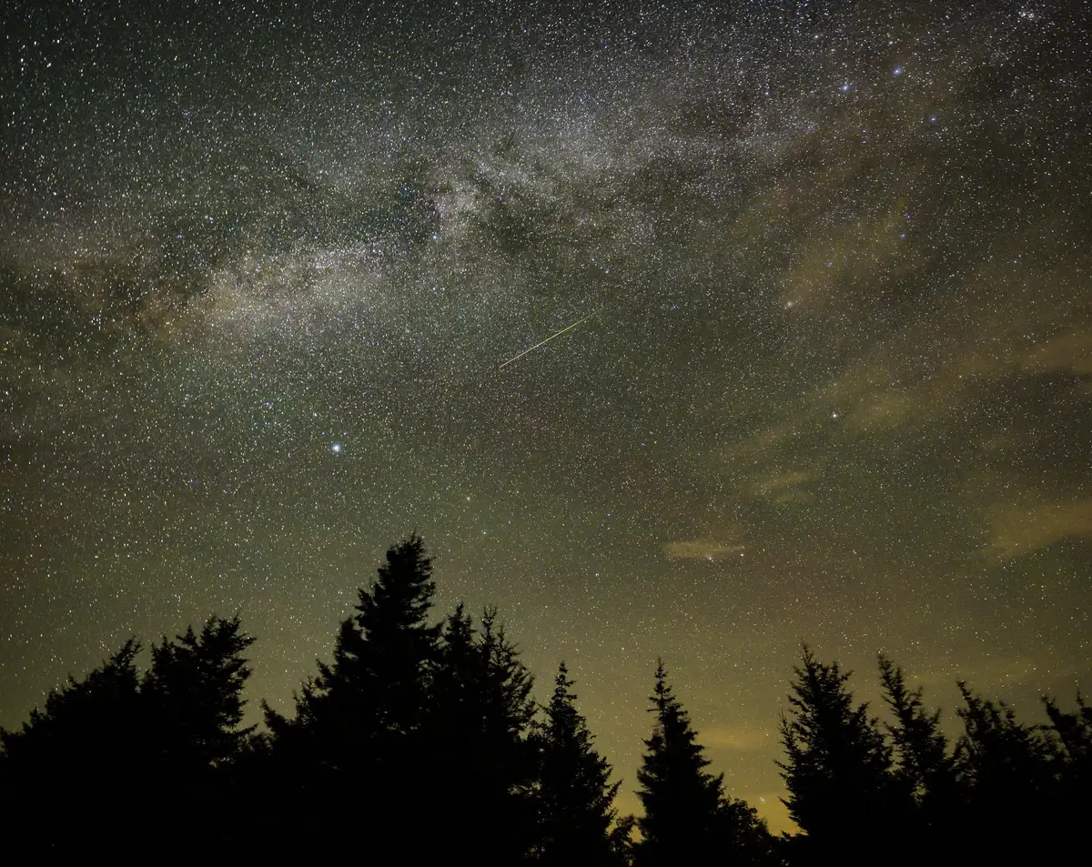 A faint meteor crossing the sky beneath the Milky Way above a line of dark pine trees