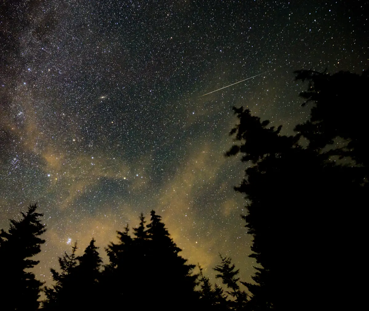 A thin meteor streak crossing a starry sky above dark evergreen trees, with the Andromeda galaxy faintly visible