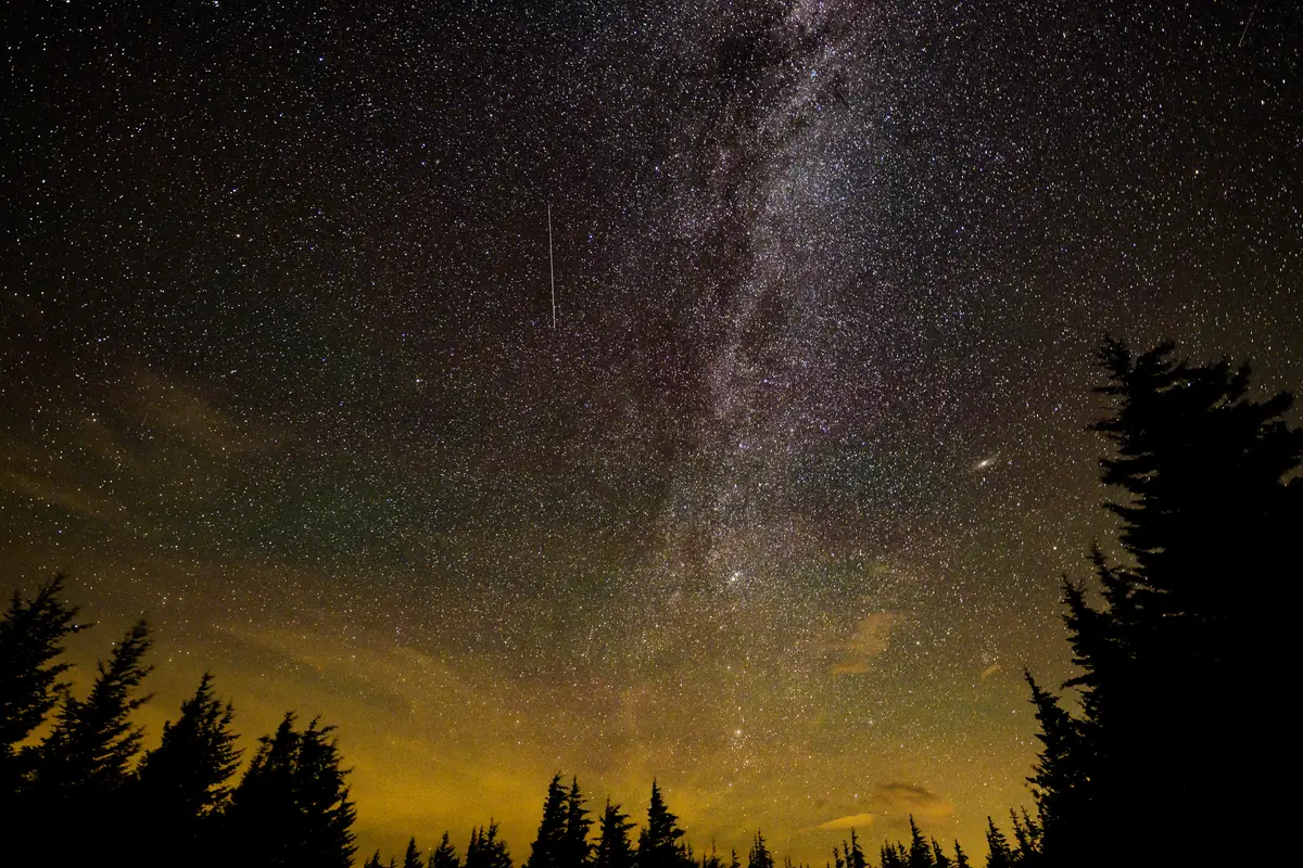 A thin meteor streak under the Milky Way above dark spruce trees, with an orange glow low on the horizon