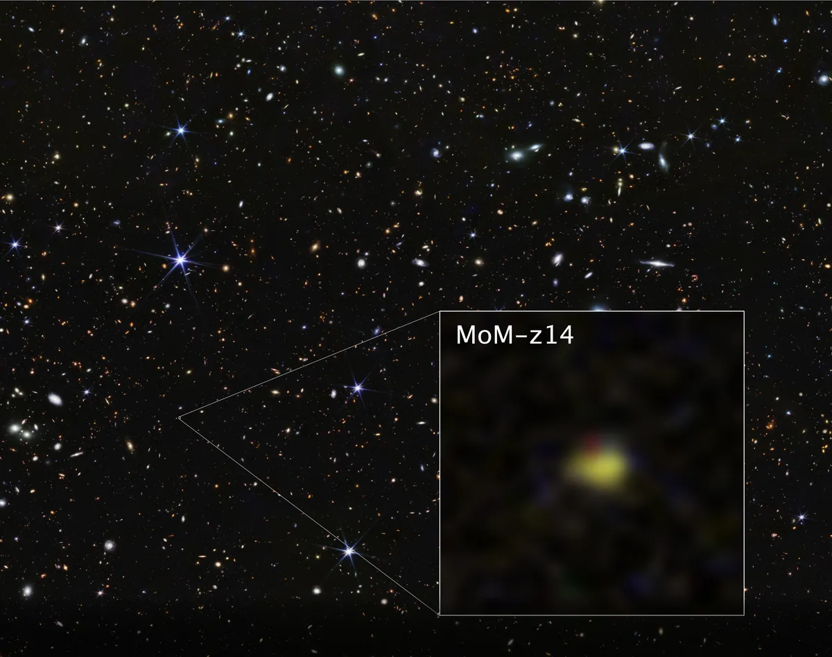 A dark field full of tiny galaxies with a square inset magnifying the small yellow smudge that is the galaxy MoM-z14