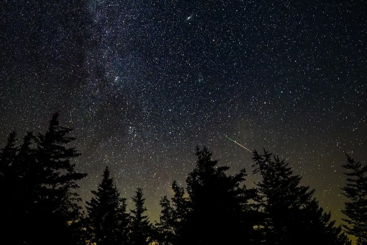 A meteor streaks across a star-filled sky above dark pine trees in West Virginia