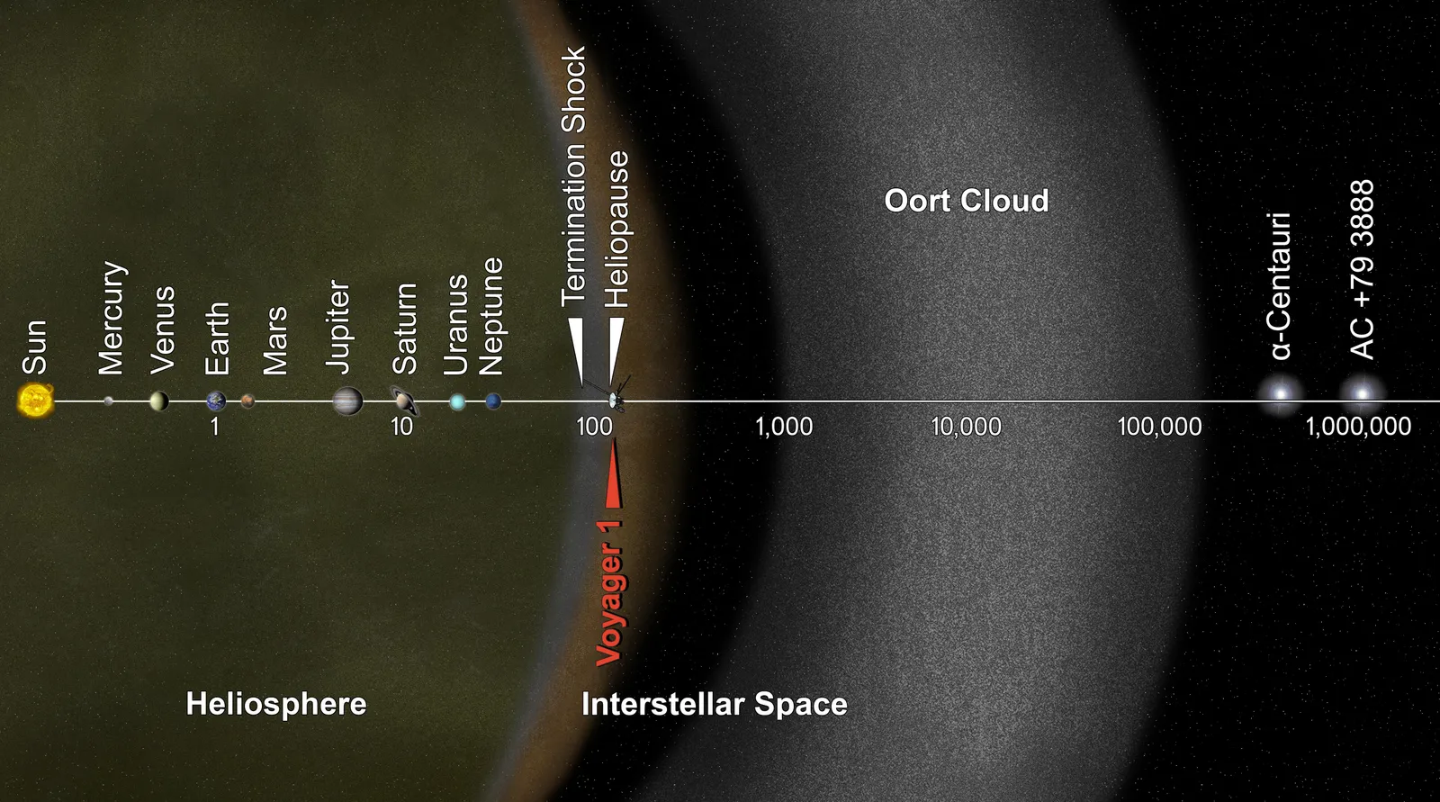 Diagram on a logarithmic scale showing the Sun, the planets, the edge of the heliosphere where Voyager 1 is, the Oort Cloud and the star AC +79 3888
